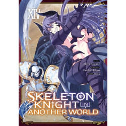 Skeleton Knight in Another...