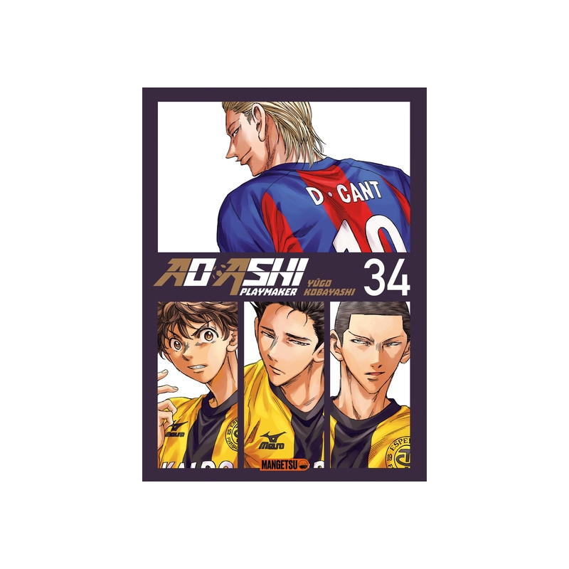 AO ASHI T34