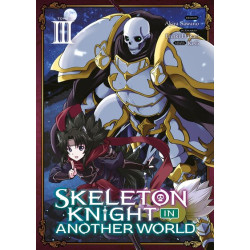 Skeleton Knight in Another...