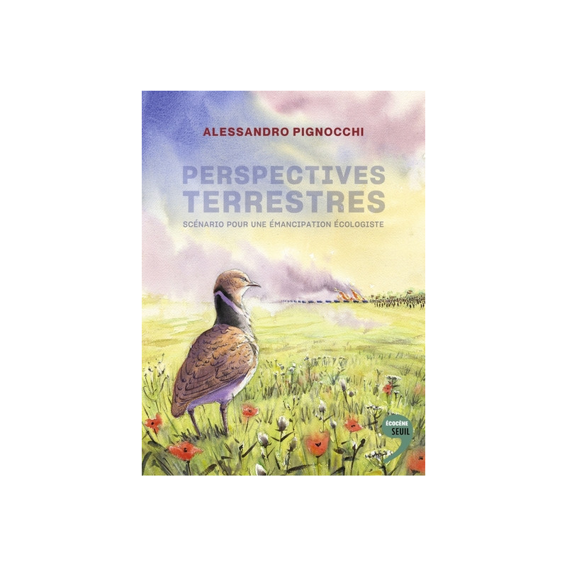 Perspectives terrestres