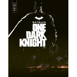 Batman - One Dark Knight