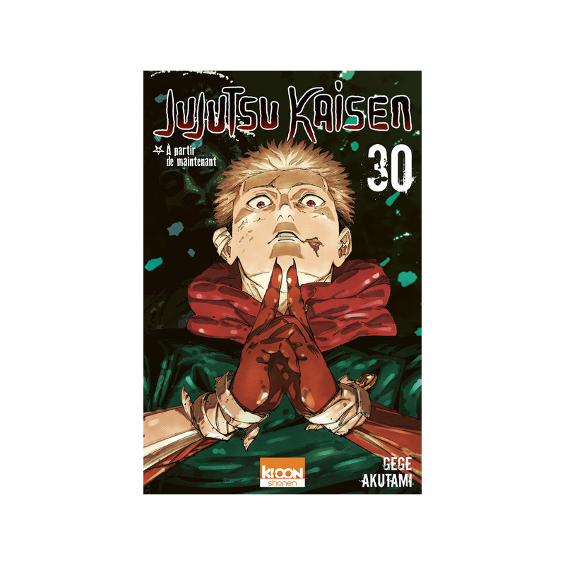 Jujutsu Kaisen T30