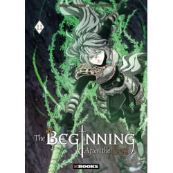 Beginning After the End T11