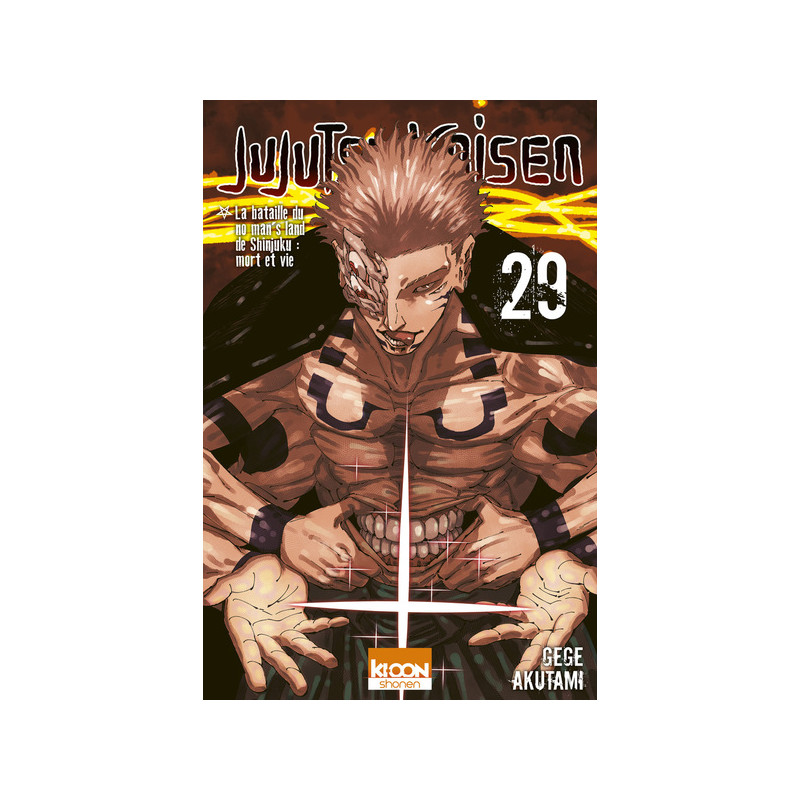 Jujutsu Kaisen T29