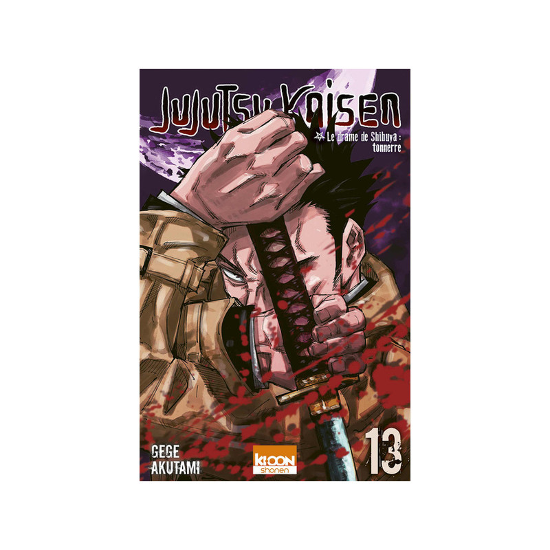 Jujutsu Kaisen T13