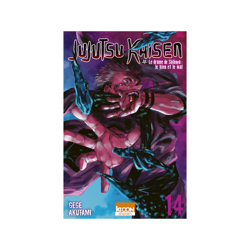 Jujutsu Kaisen T14