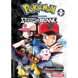 Pokémon Noir & Blanc Double...