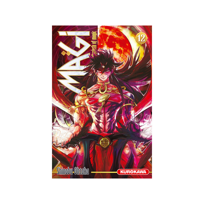 Magi - The Labyrinth of Magic - tome 12