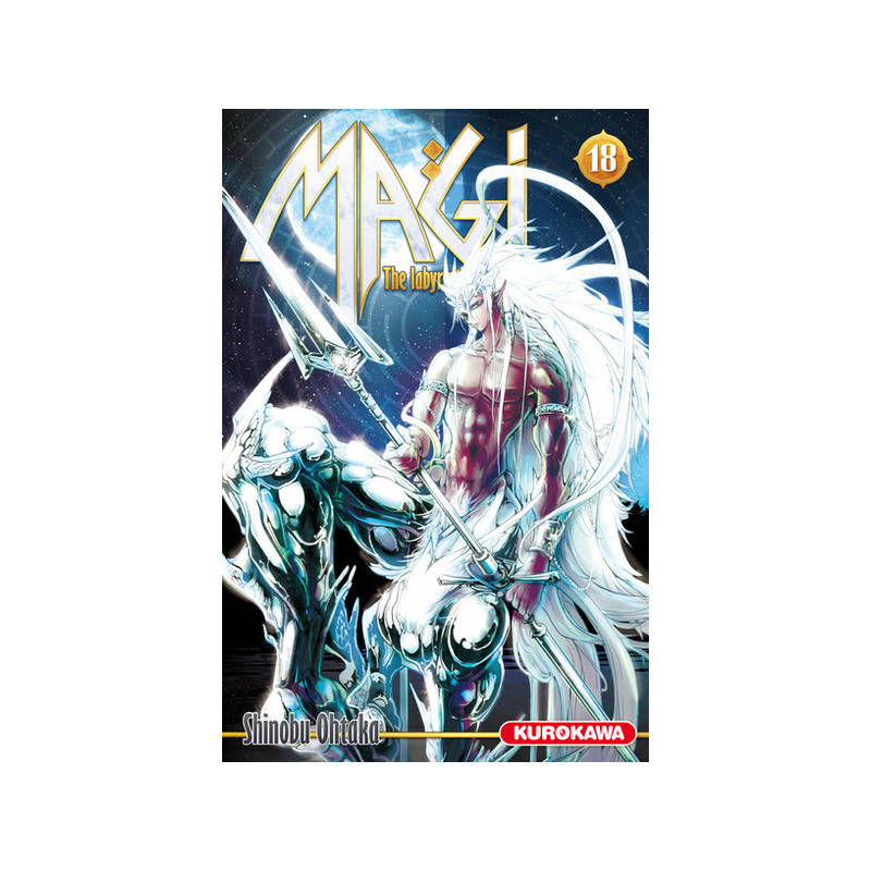 Magi - The Labyrinth of Magic - tome 18