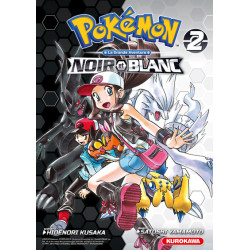 Pokémon Noir & Blanc Double...