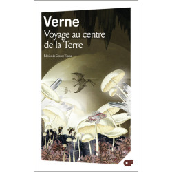 Voyage au centre de la Terre