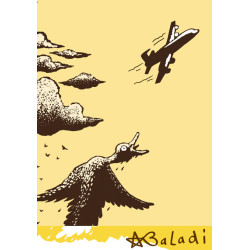 Rien de canard