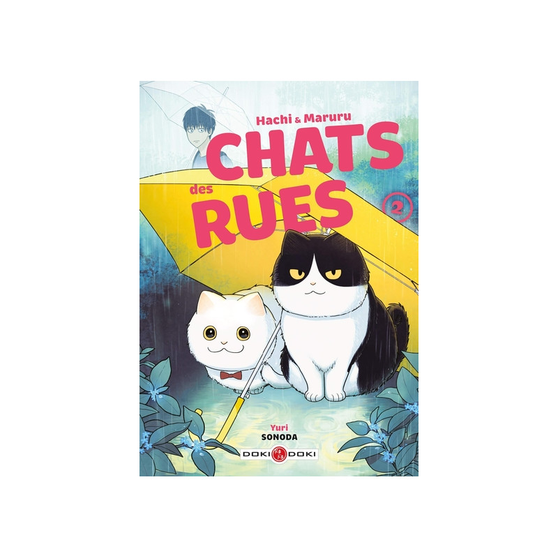 Hachi & Maruru - Chats des rues - vol. 02