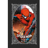 Spider-Man : Un jour de plus - Edition grimoire