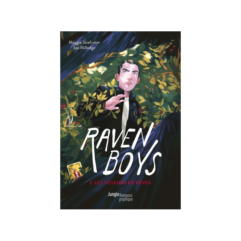 Raven Boys - Tome 2 Les voleurs de rêves