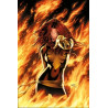 X-Men : Le chant du Phénix