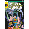 King Conan : The Original Comics Omnibus T02