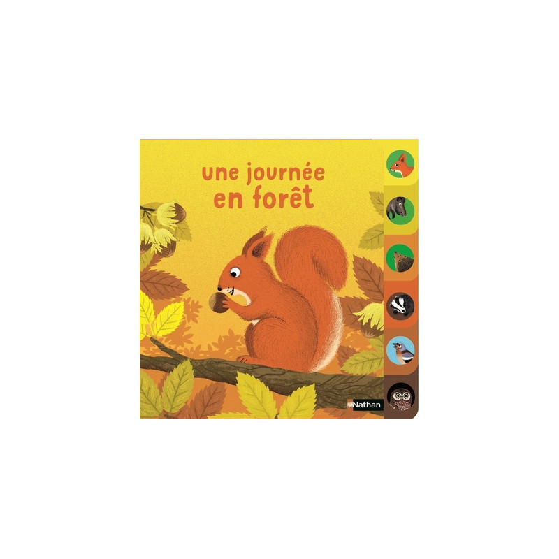 Une journée en forêt