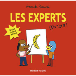 Les Experts (en tout)