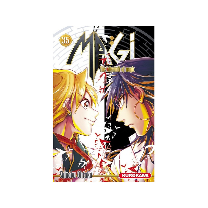 Magi - The Labyrinth of Magic - tome 35