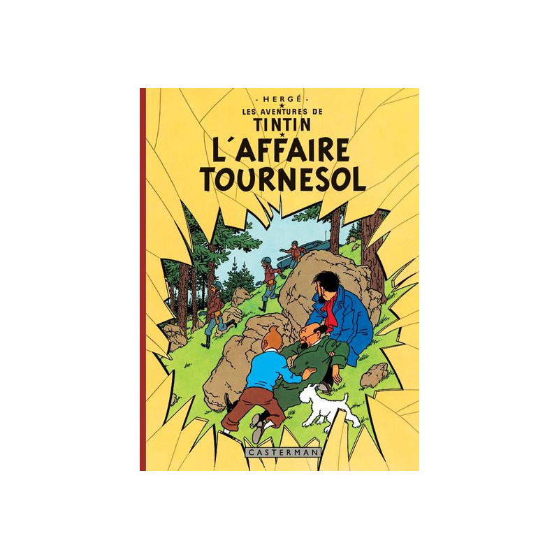 L'Affaire Tournesol