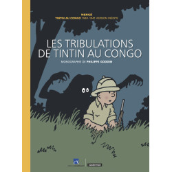 Les tribulations de Tintin...