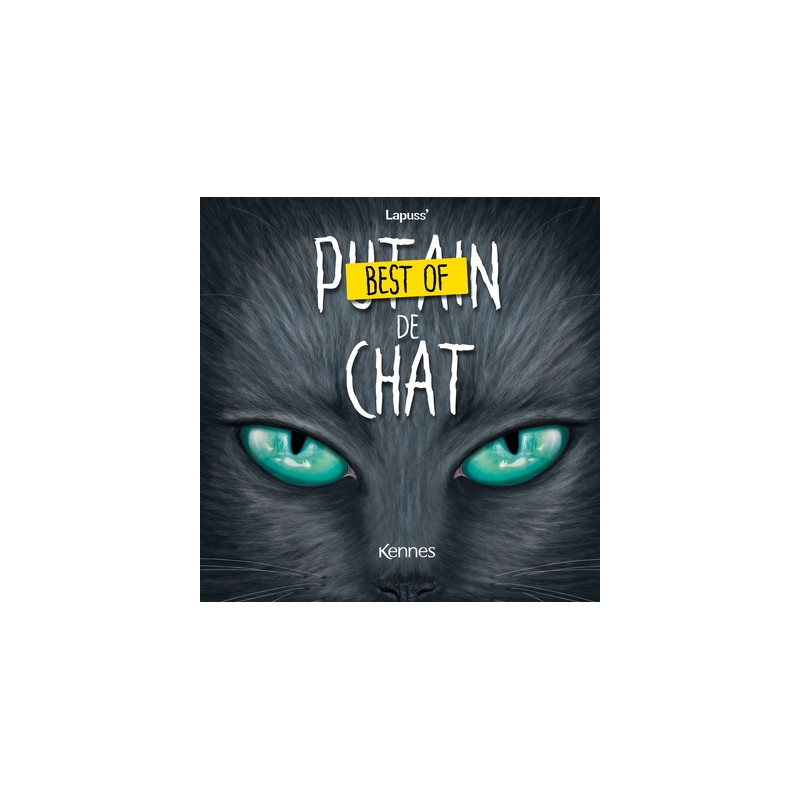 Best of Putain de chat
