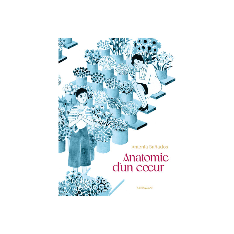 Anatomie d'un coeur