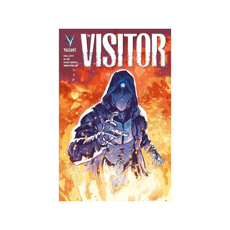 The Visitor