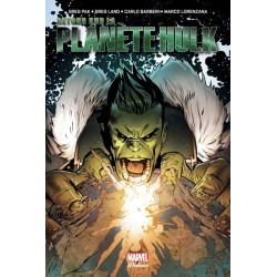 Incredible Hulk: Retour sur...