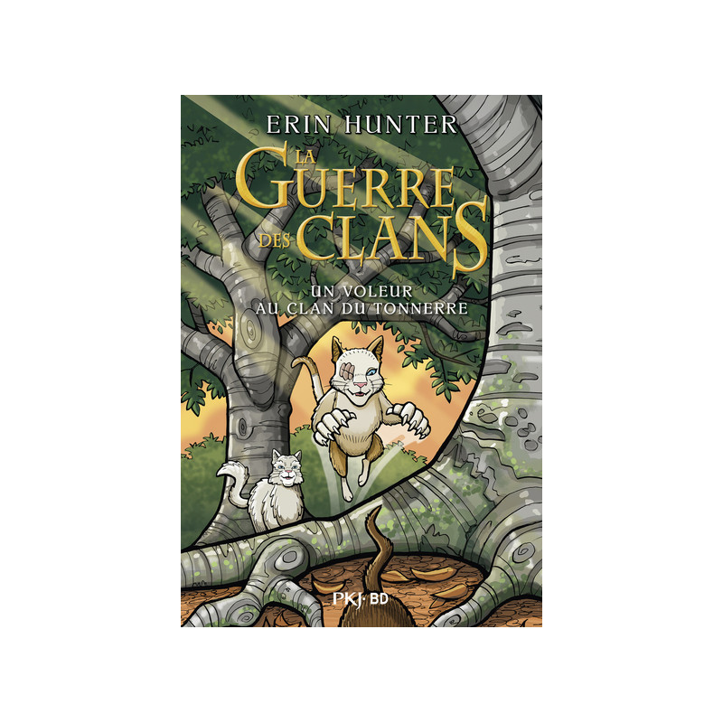 La guerre des clans BD - Un voleur au clan du tonnerre
