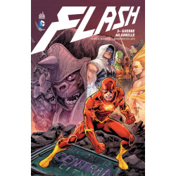 FLASH  - Tome 3