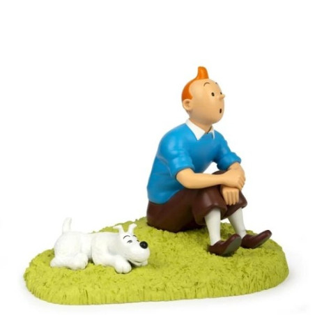 Tintin Assis dans l'Herbe