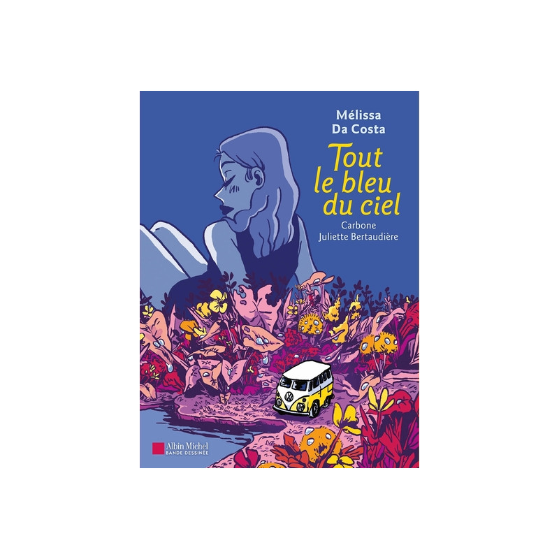 Tout le bleu du ciel (BD)