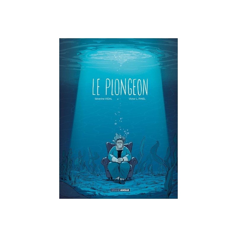 Le Plongeon - histoire complète