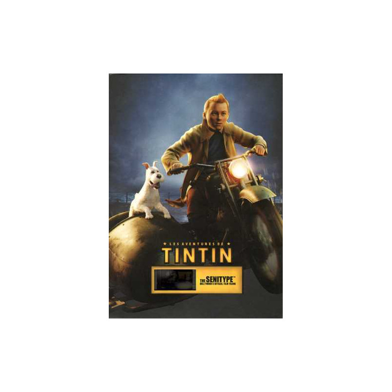 Senitype Tintin side car