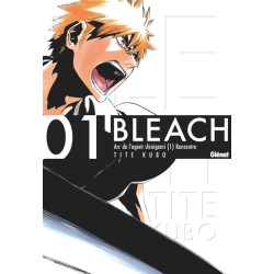 Bleach Deluxe - Tome 01