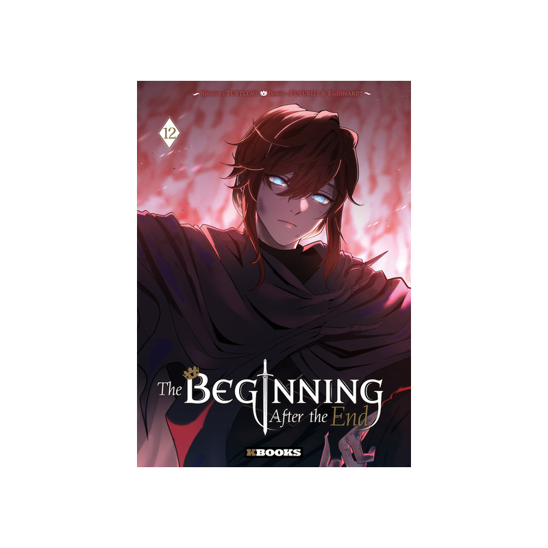 Beginning After the End T12