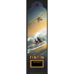 Senitype Tintin Hydravion