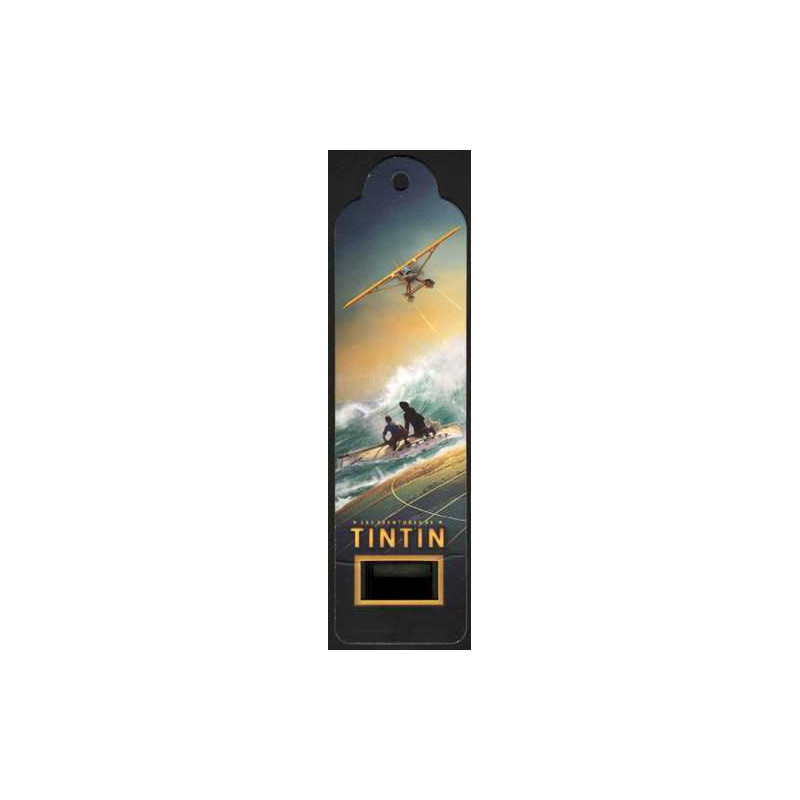 Senitype Tintin Hydravion