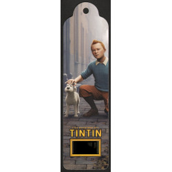 Senitype Tintin et Milou...