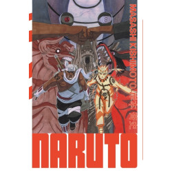 Naruto - édition Hokage -...