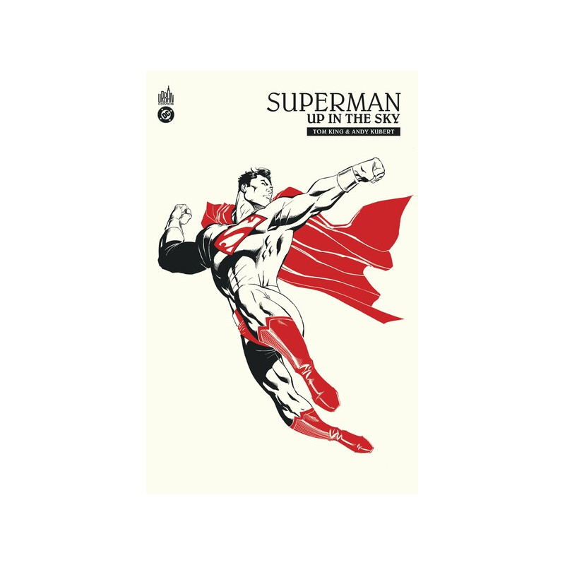 Superman : Up In The Sky