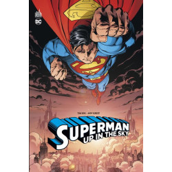Superman : Up In The Sky