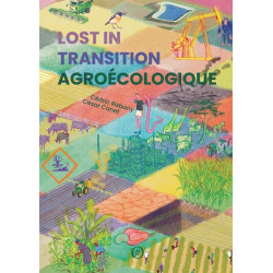 Lost in transition...