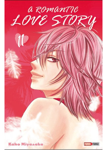 A romantic loves story T11
