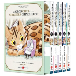 Le Gros Chat et la Sorcière...
