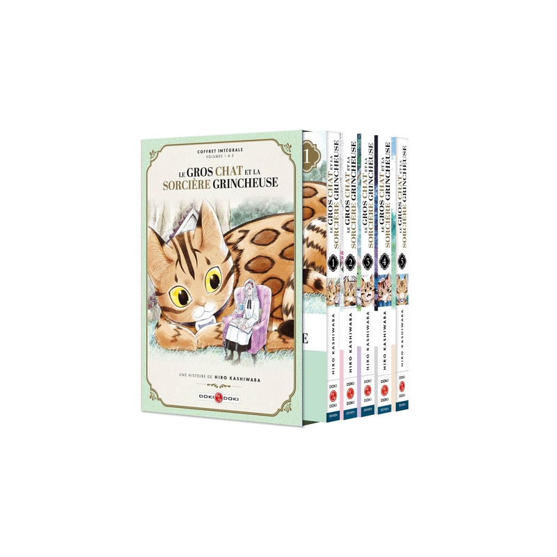 Le Gros Chat et la Sorcière grincheuse - coffret vol. 01 à vol.05