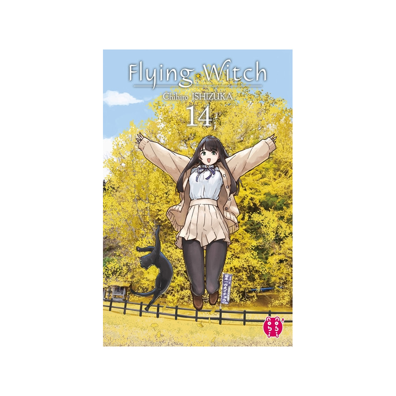 Flying Witch T14