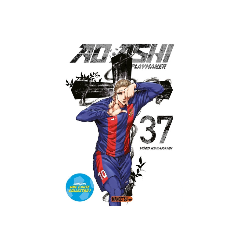 AO ASHI T37